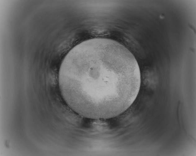 X0000103900515200809191241