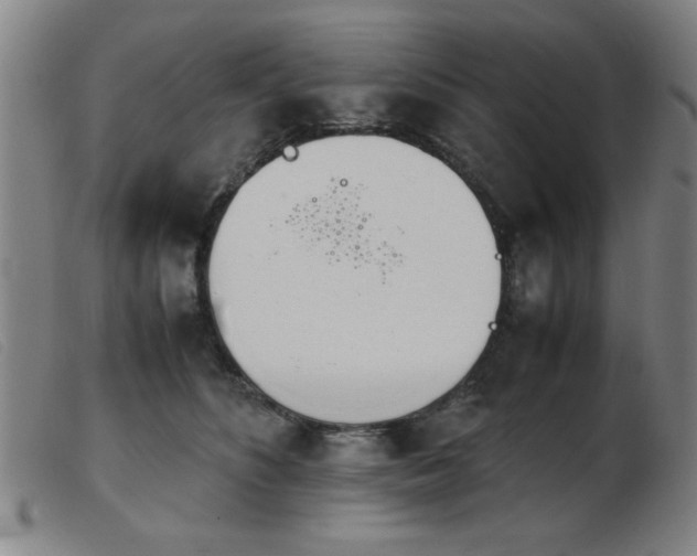 X0000103900516200809191241