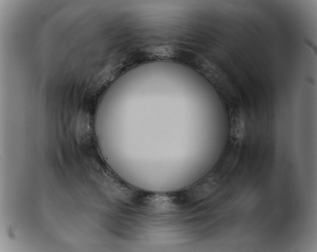 X0000103900518200809191241