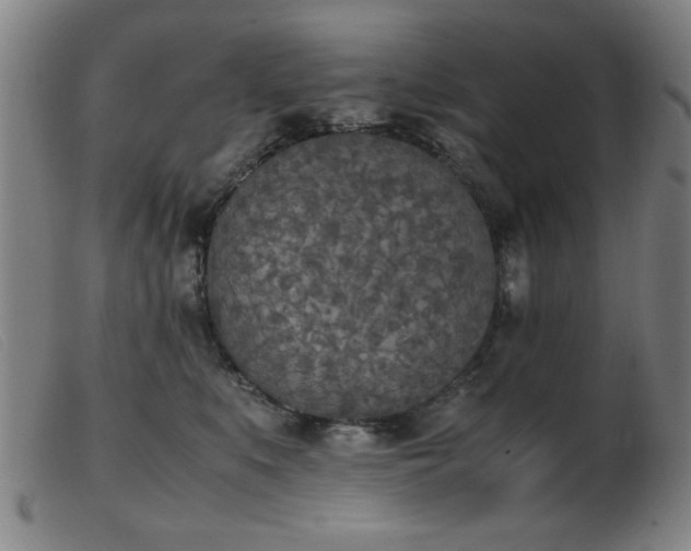 X0000103900519200809191241