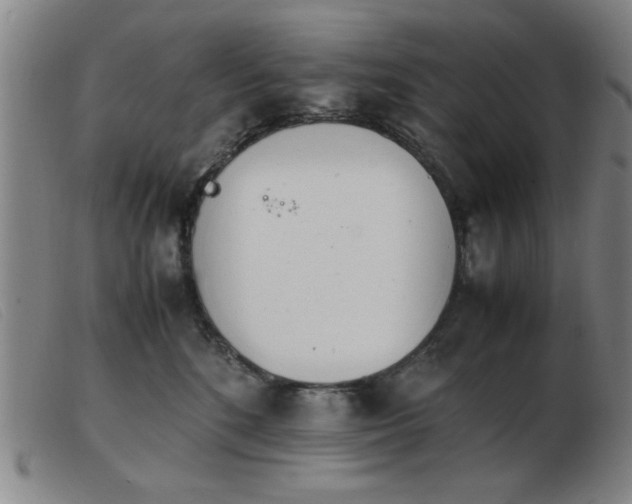 X0000103900520200809191241