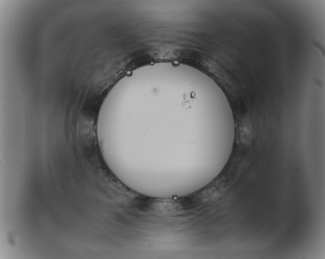 X0000103900521200809191241