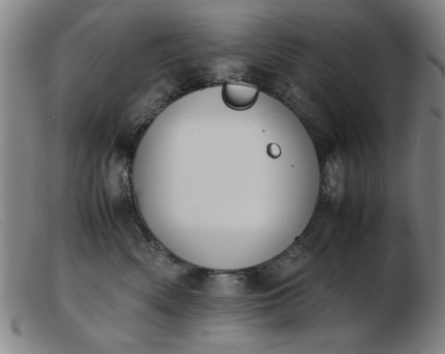 X0000103900522200809191241
