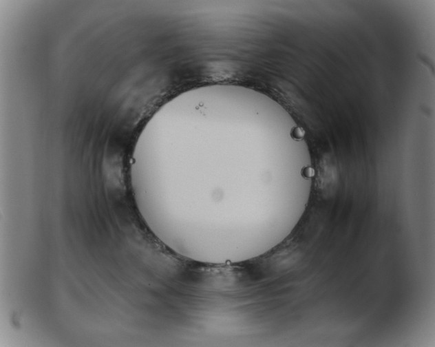 X0000103900524200809191241