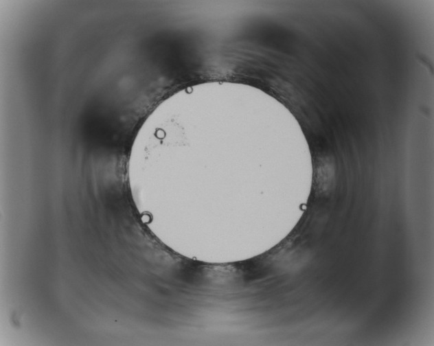 X0000103900525200809191241