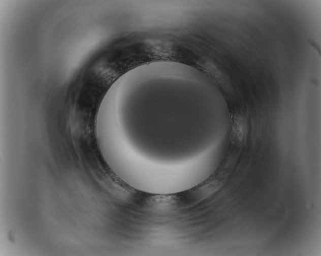 X0000103900526200809191241