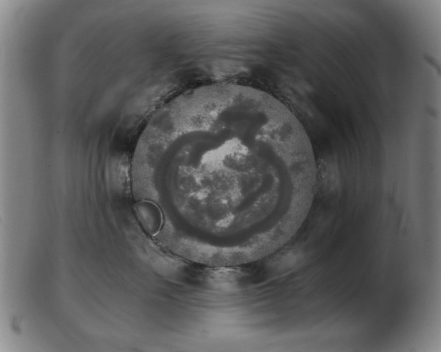 X0000103900527200809191241