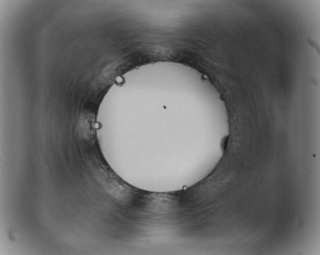 X0000103900528200809191241