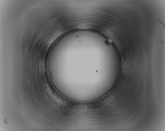 X0000103900530200809191240