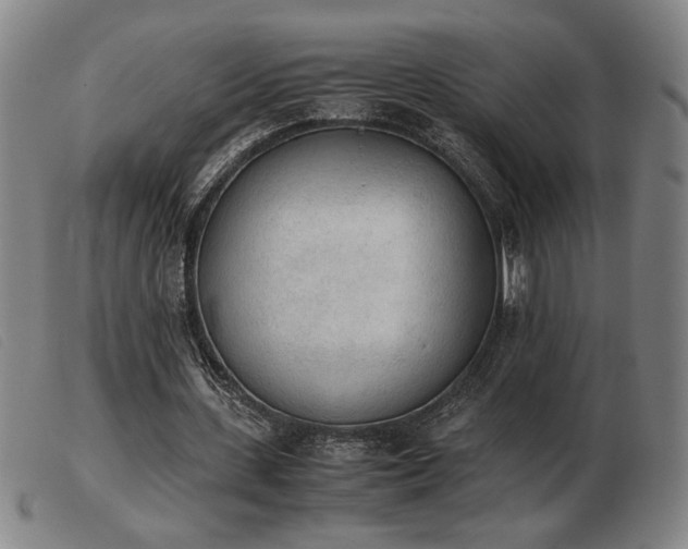 X0000103900531200809191240