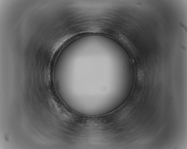 X0000103900532200809191241