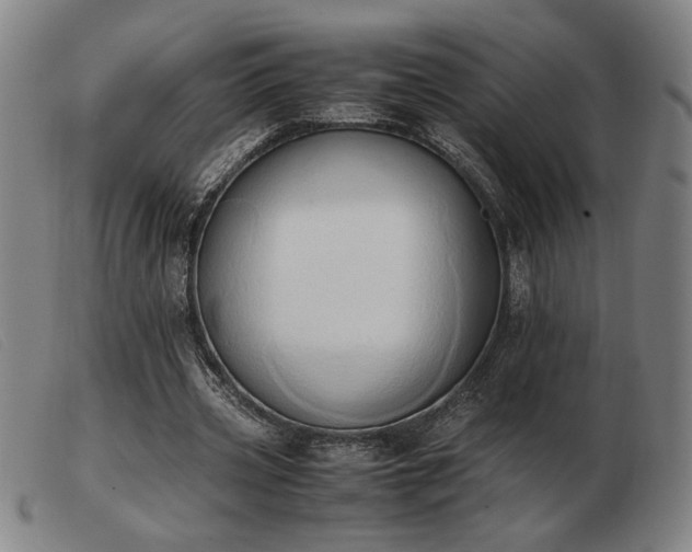X0000103900533200809191241