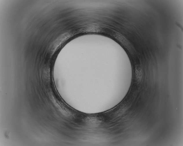 X0000103900534200809191241