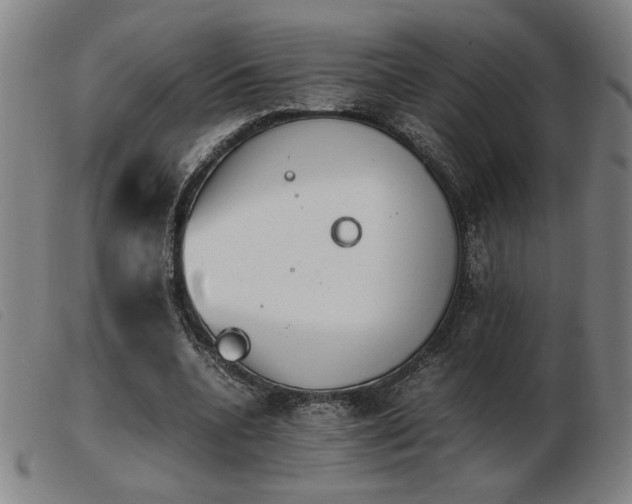 X0000103900536200809191241
