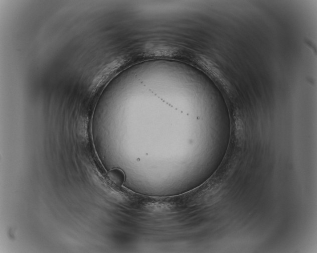 X0000103900537200809191241
