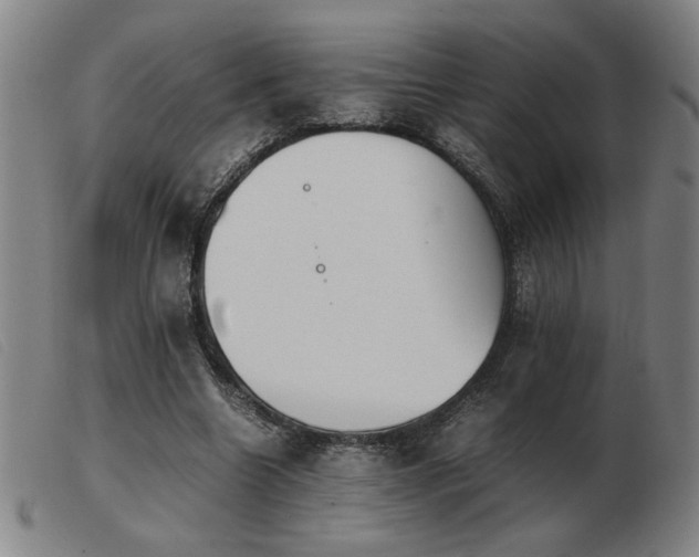 X0000103900538200809191241