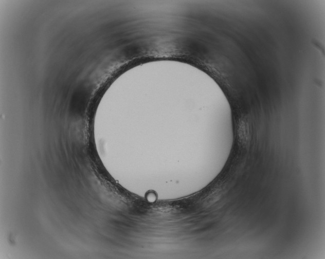 X0000103900540200809191241