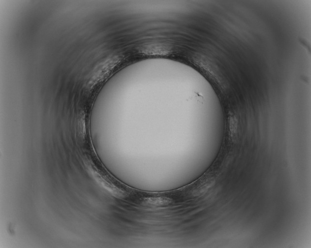 X0000103900541200809191241