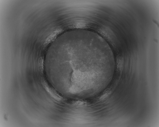 X0000103900542200809191241