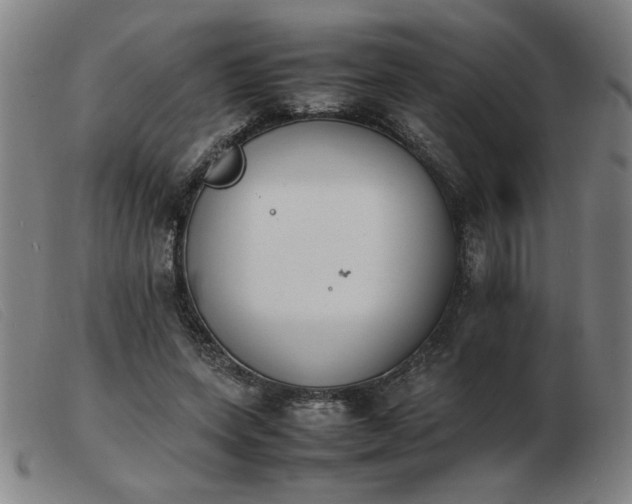 X0000103900543200809191241