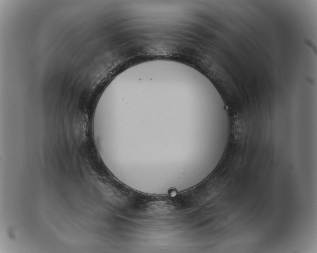 X0000103900544200809191241