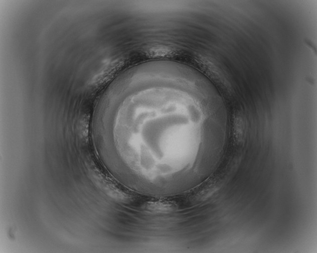 X0000103900545200809191241
