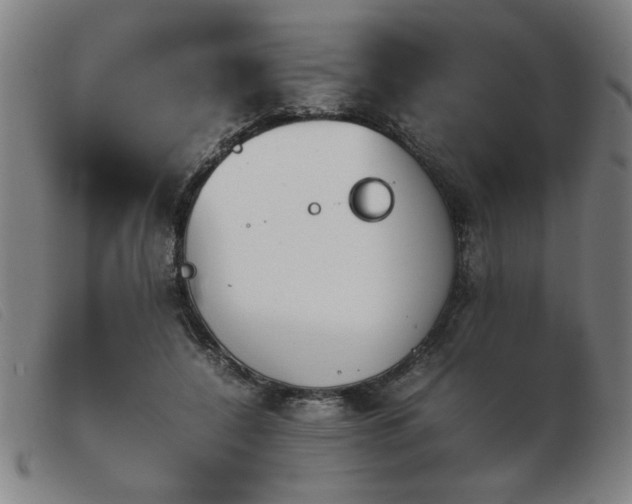 X0000103900548200809191241