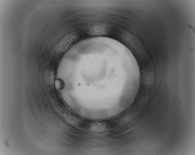 X0000103900549200809191241