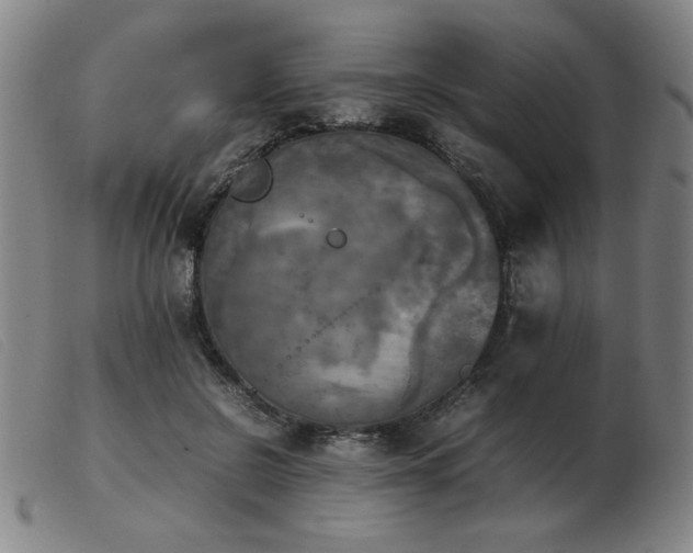X0000103900550200809191241