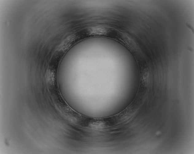 X0000103900551200809191241