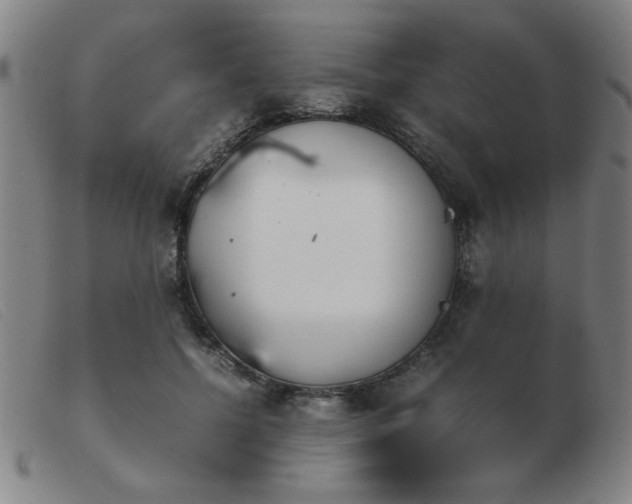 X0000103900552200809191241