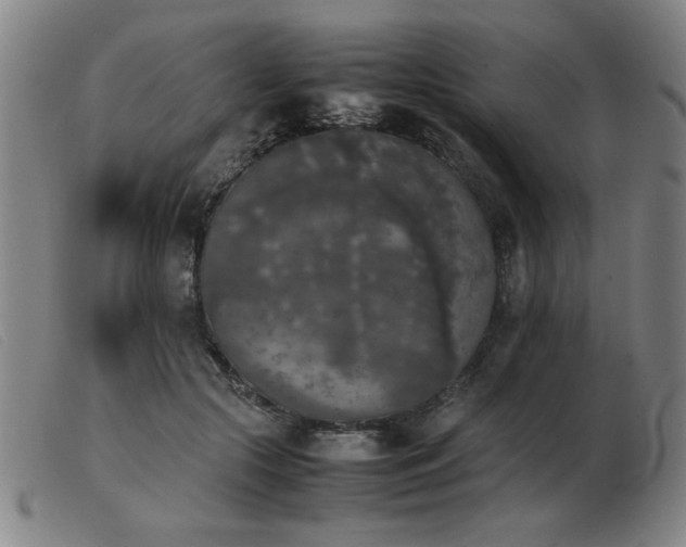 X0000103900553200809191241