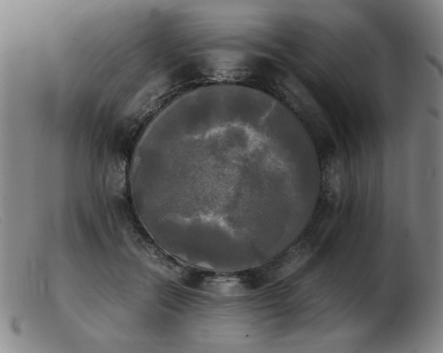 X0000103900554200809191241