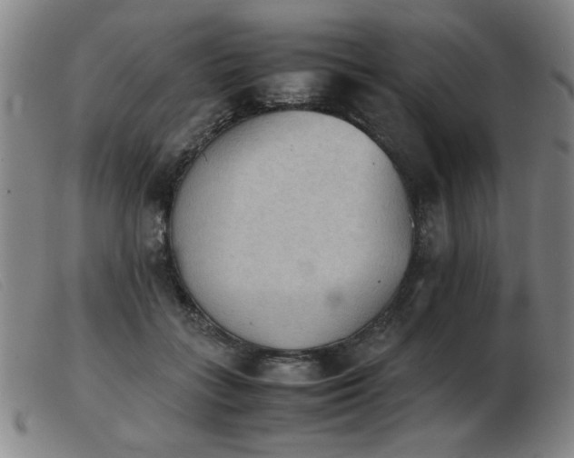 X0000103900555200809191241
