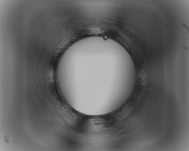 X0000103900556200809191241