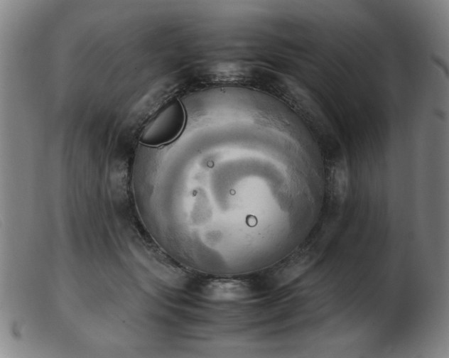 X0000103900557200809191241