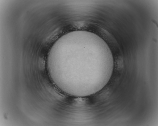 X0000103900558200809191241