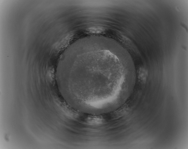 X0000103900559200809191241