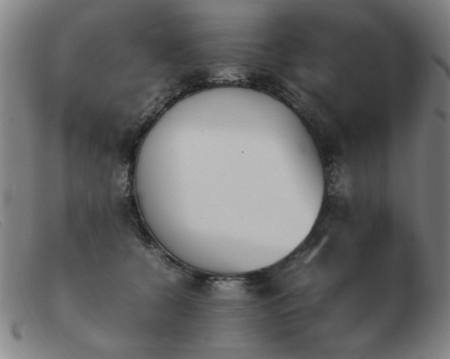 X0000103900560200809191241