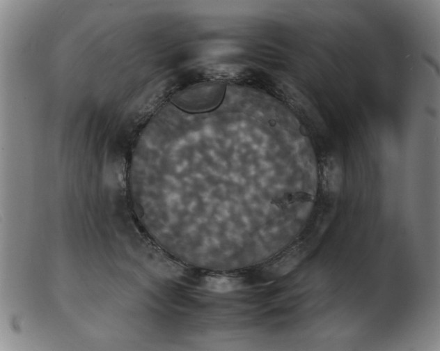 X0000103900561200809191241