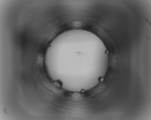 X0000103900562200809191241