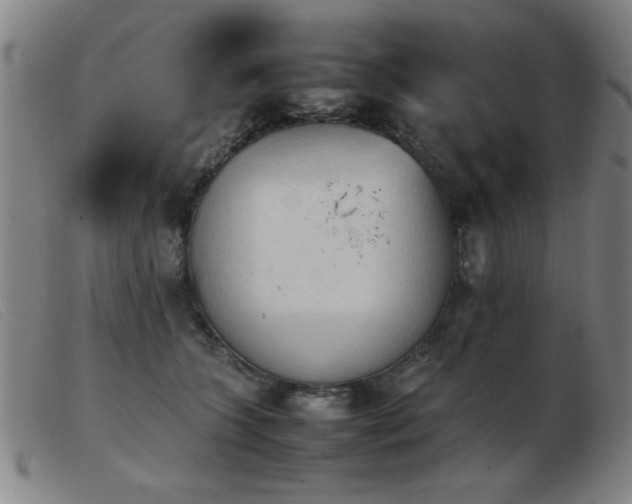 X0000103900563200809191241