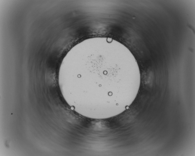 X0000103900564200809191241