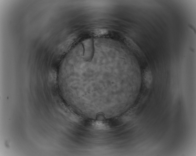 X0000103900565200809191241