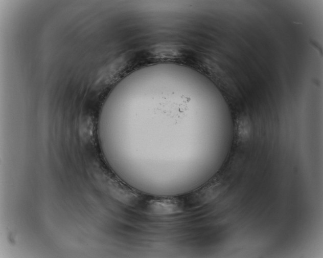 X0000103900567200809191241