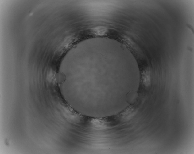 X0000103900568200809191241