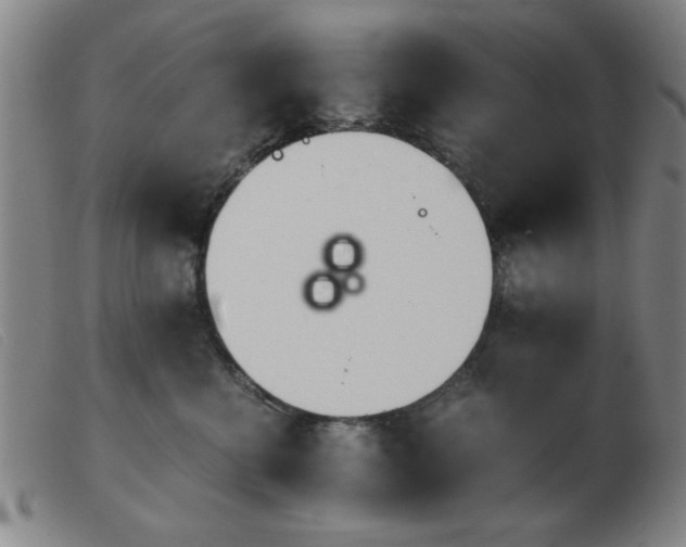 X0000103900570200809191241