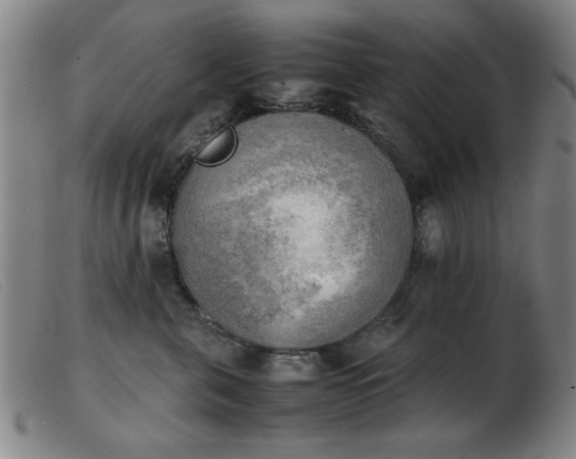 X0000103900571200809191241