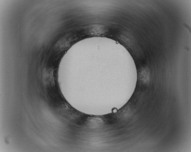 X0000103900572200809191241