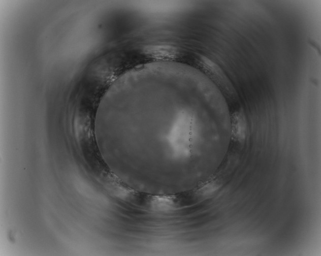 X0000103900573200809191241